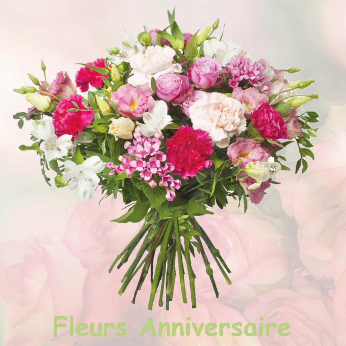 fleurs anniversaire LE-RAINCY